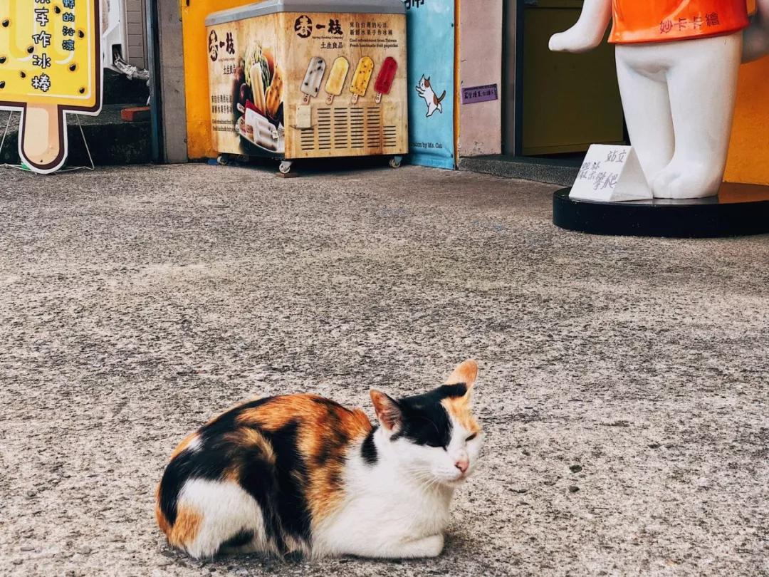 台湾自由行之台湾印象,台湾环岛深度纯玩