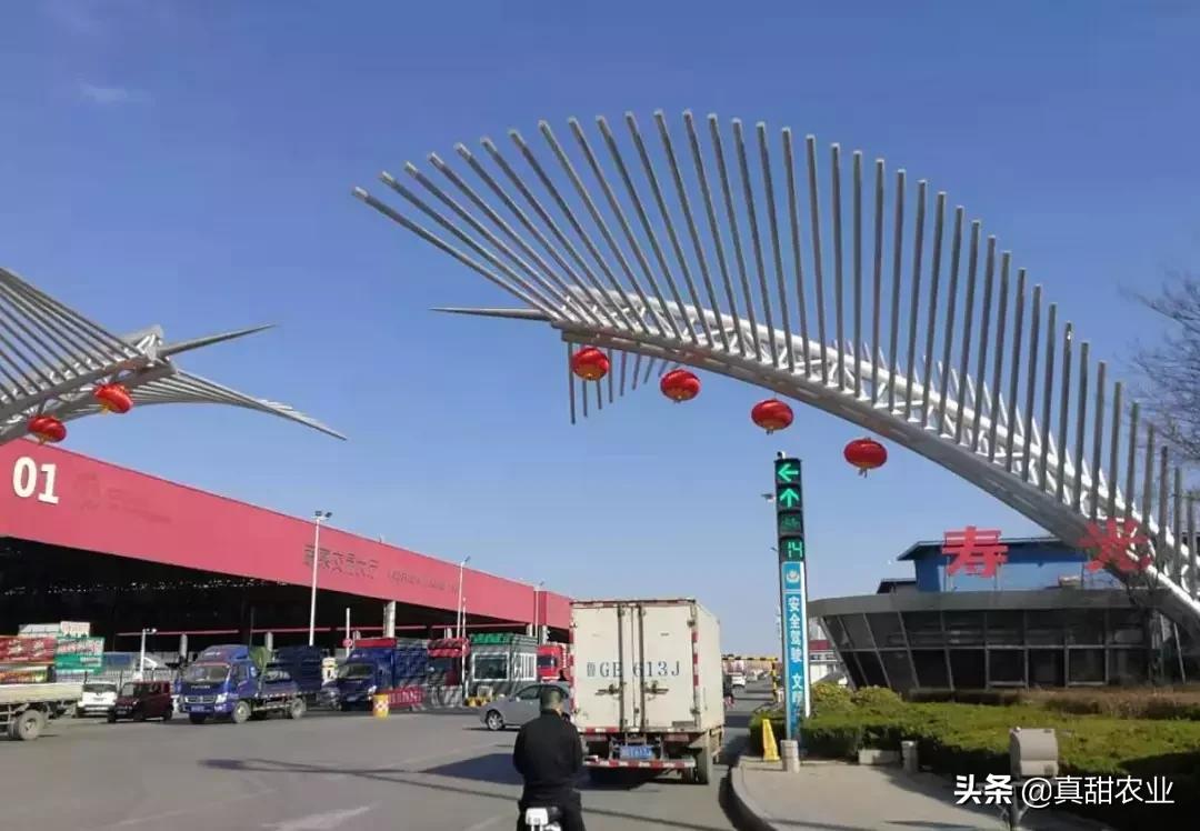 菜农如何搞批发,自己去批发蔬菜进货需要注意什么