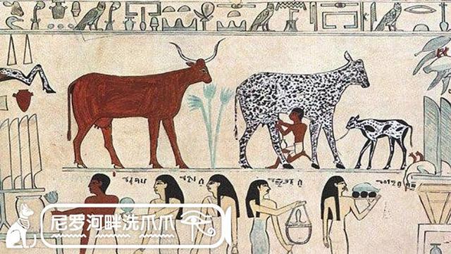 古埃及人都有什么饮食习惯,古埃及饮食习惯