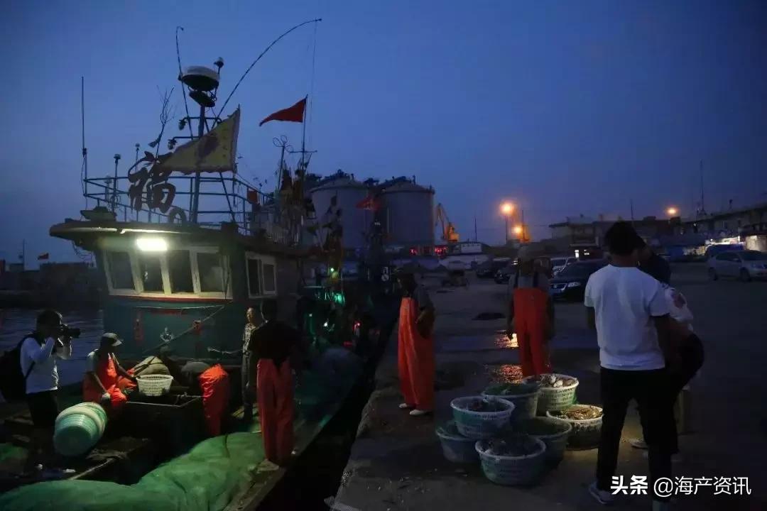 黄渤海海鲜种类,黄渤海渔场海鲜价格