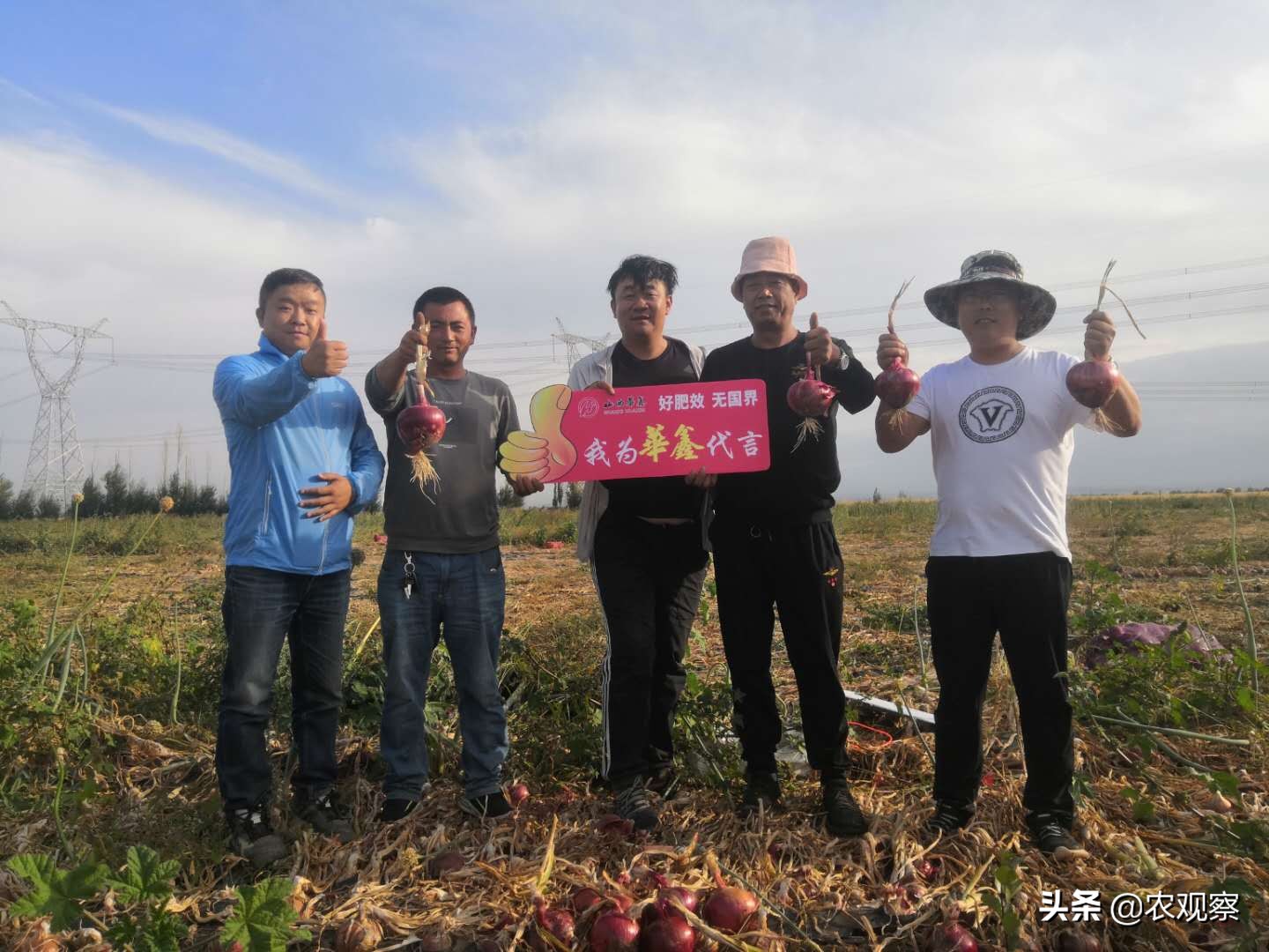 “不光品质好，产量也很高”，华鑫肥就这么牛