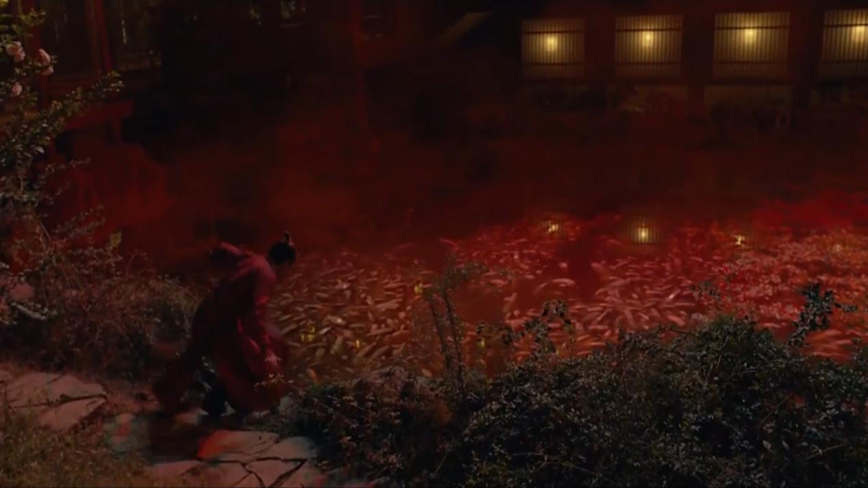 妖猫传杨贵妃知道了自己的命运,妖猫传杨贵妃的一生