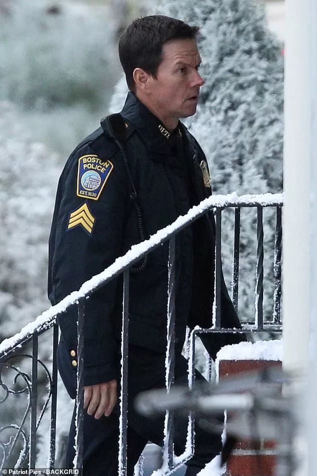 100部公认最好看的电影,100部最好电影