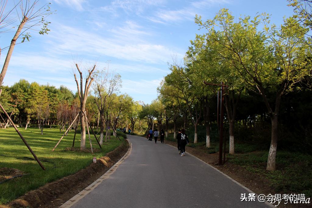 大兴南海子公园还开放吗,南海子公园现在开门了吗