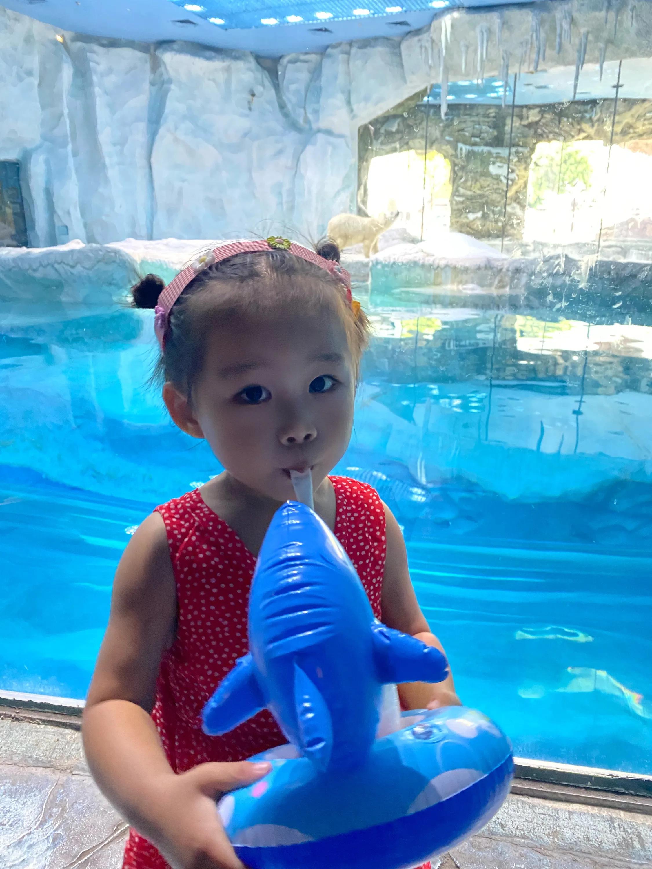 珠海长隆海洋王国攻略时间表,珠海长隆海洋王国攻略图