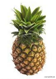 猕猴桃奇异果菠萝凤梨,菠萝与凤梨樱桃与车厘子有何区别