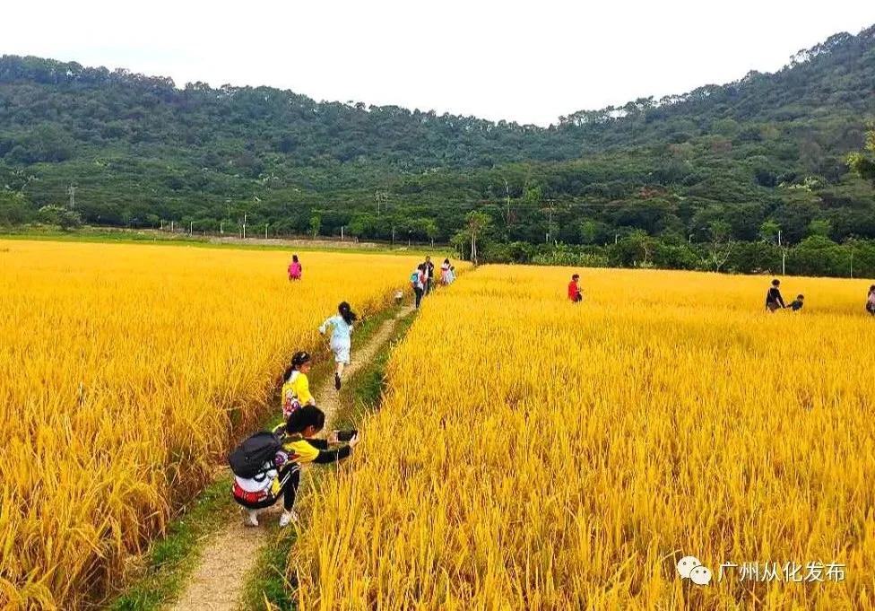 全国群众登山健身大会广州,2022全国登高健身大会
