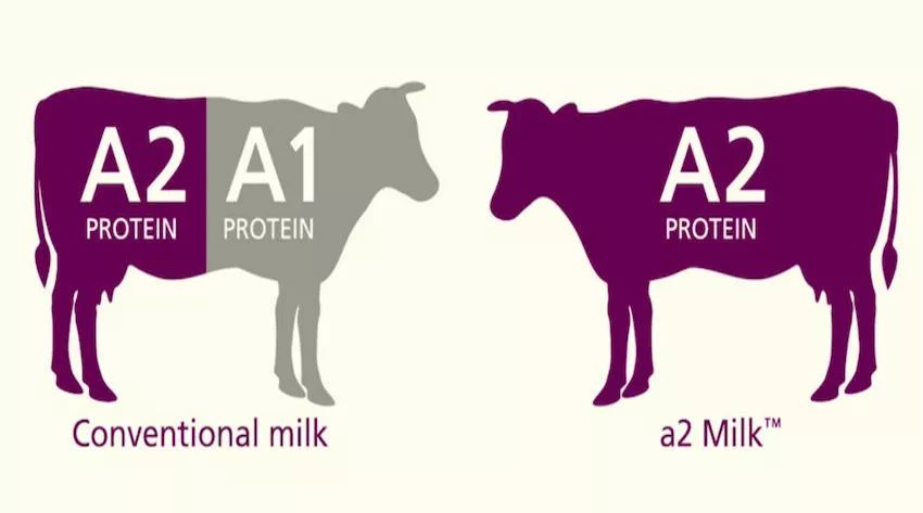 澳洲奶粉是真是假,澳洲最好的奶