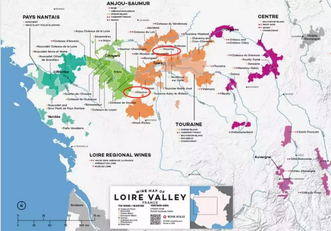 喝起泡酒真的好喝吗,喝起泡酒