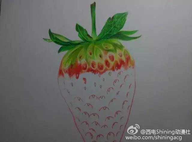 彩铅写实教学草莓,草莓蛋糕用彩铅怎么画