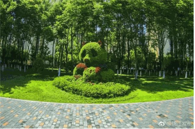 公园项目的正确玩法,公园玩法攻略