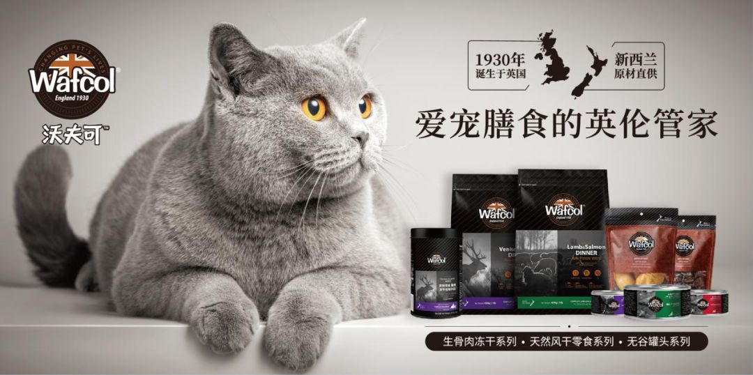 疫情缺货产品,疫情缺货商品