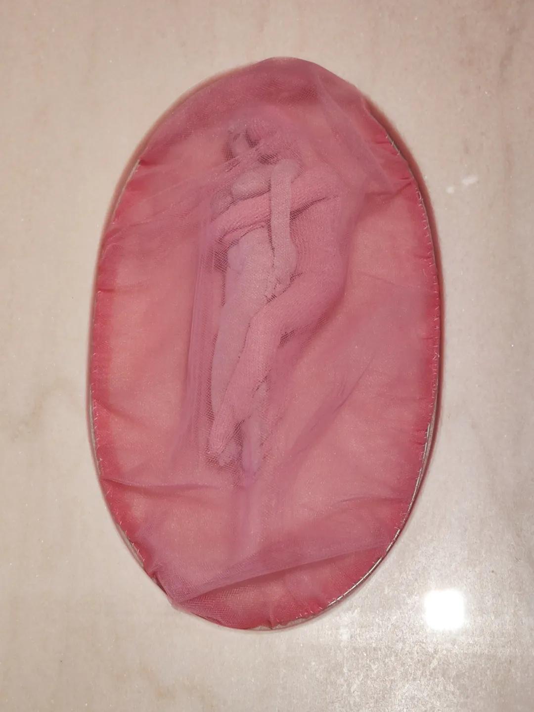 小布尔乔亚女性主义 (小布尔乔亚审美)