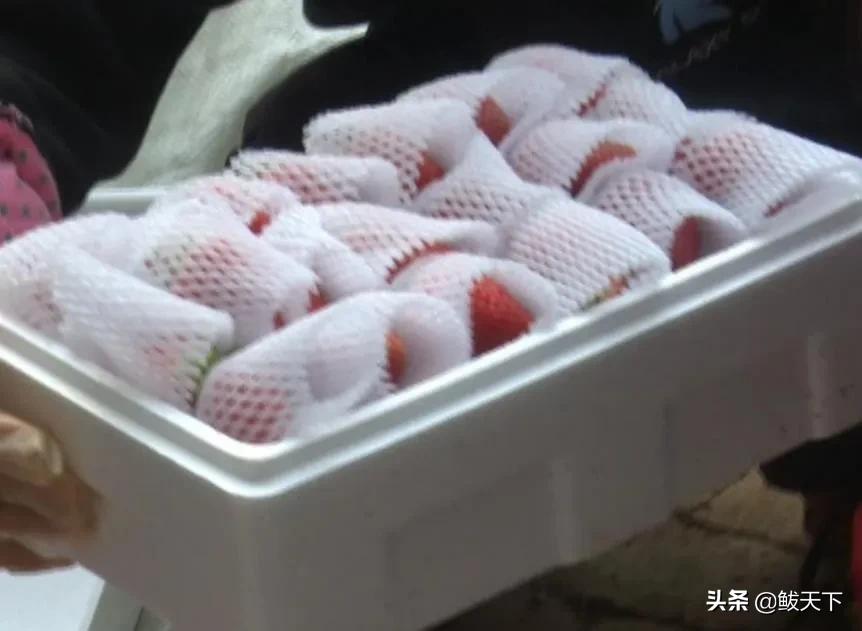 沿滩党员干部奋战一线抗疫保春耕,抗疫与春耕生产党员大会