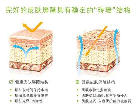 无香无重金属宝宝面霜,婴幼儿专用面霜李佳琦