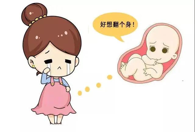 29周胎儿臀位该怎么办,胎儿臀位怎么纠正啊