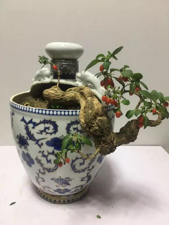 变废为宝可乐花盆手工制作幼儿园,变废为宝的创意花盆自己手工制作