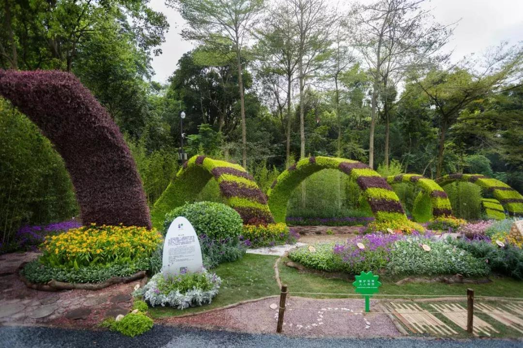 未来10天预警,深圳最最最最火的地方在这里,美女都赶来打卡