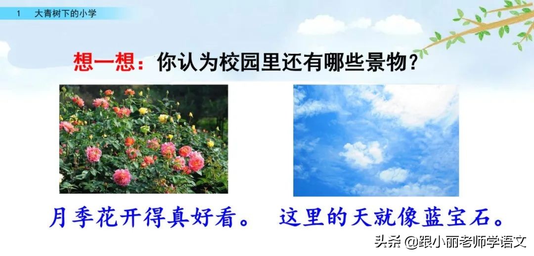 大青树下的小学重要背诵内容,大青树下的小学重点知识点