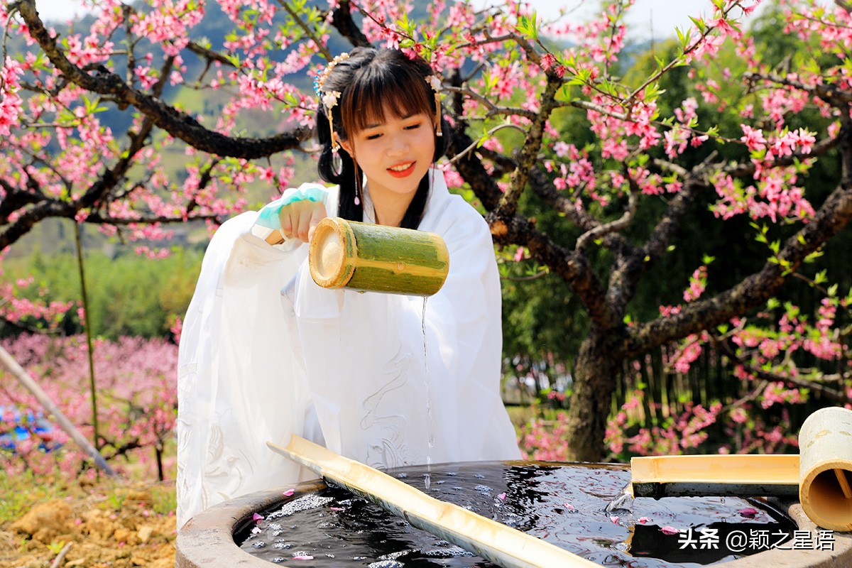 天下第一桃花源风景区,天下第一桃园图片