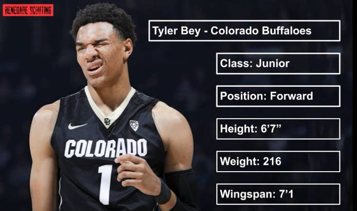 历史第一臂展波尔,泰勒贝臂展