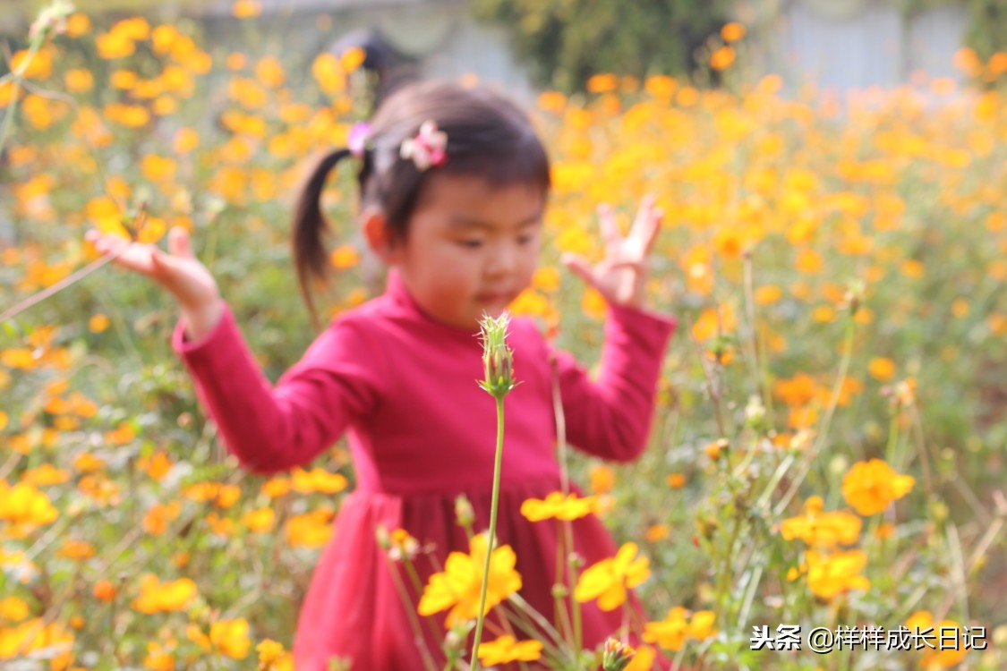 七个月带孩子4万公里自驾游,带孩子长期自驾旅行