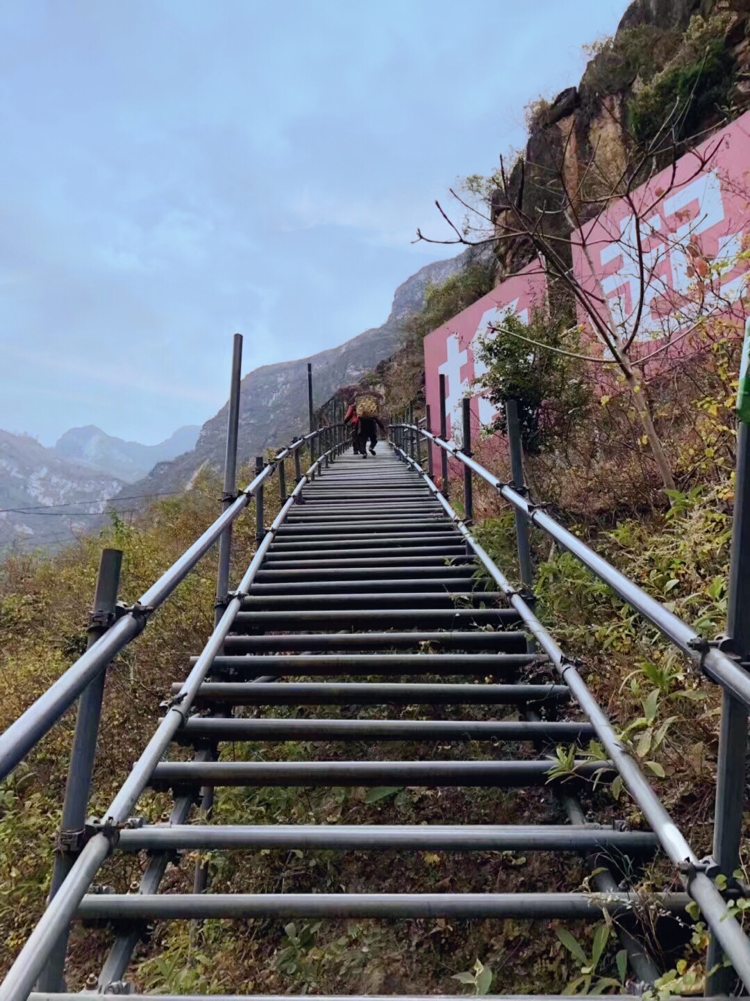 索玛花儿开完整版彝族歌曲,索玛花儿向阳开完整版