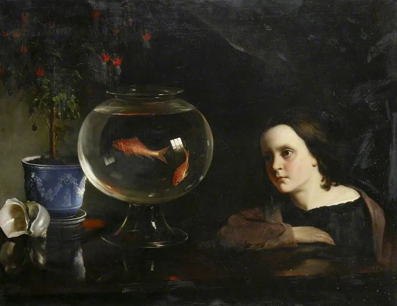 瑗挎柟娌圭敾澶у笀閲戦奔,娌圭敾閲戦奔鐢诲浣滃搧娆ｈ祻