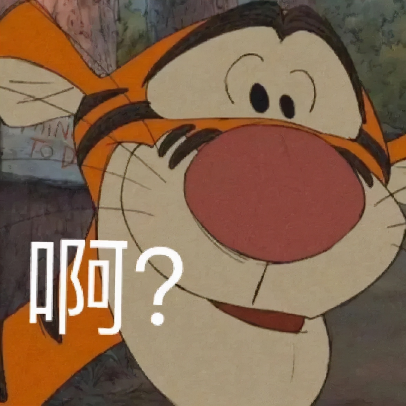 ofo在哪里退押金,ofo退款事件真的假的