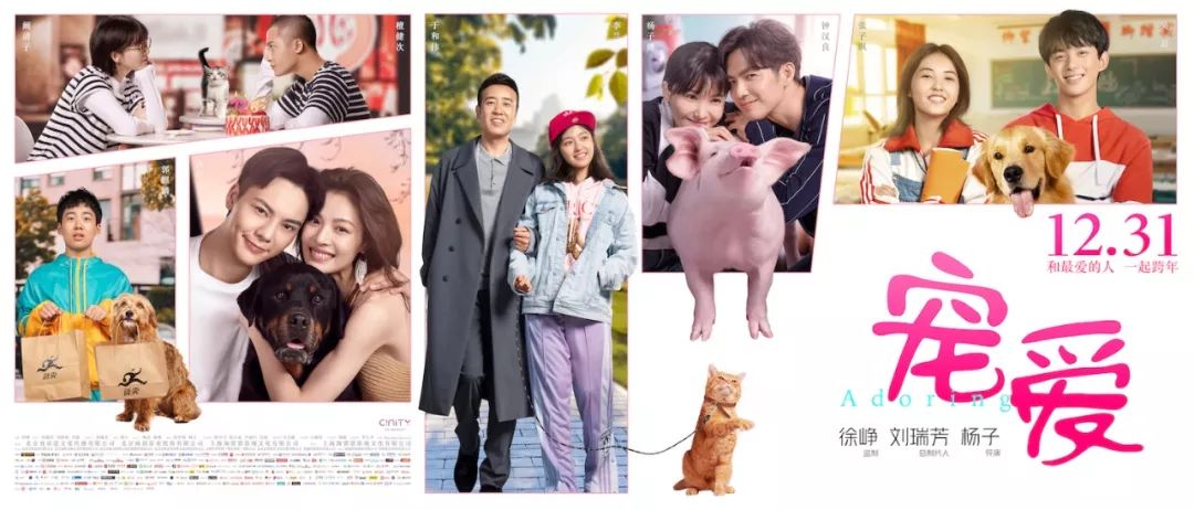 定档2024年春节电影,定档2024年的电影