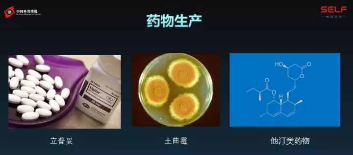 塑料降解微生物的发展,塑料可以被微生物降解吗