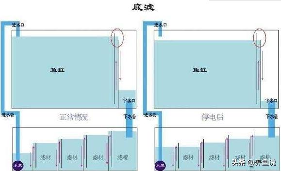 鱼缸水过滤最好的方法,鱼缸水浑浊用什么过滤最好
