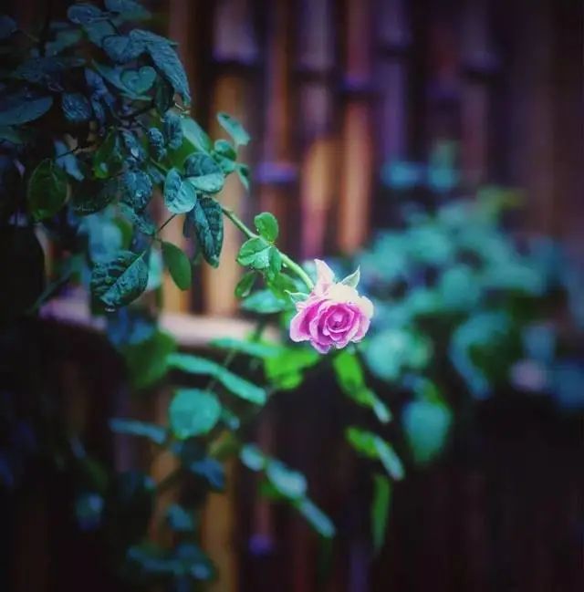 无本生意如何做,无本创业小生意