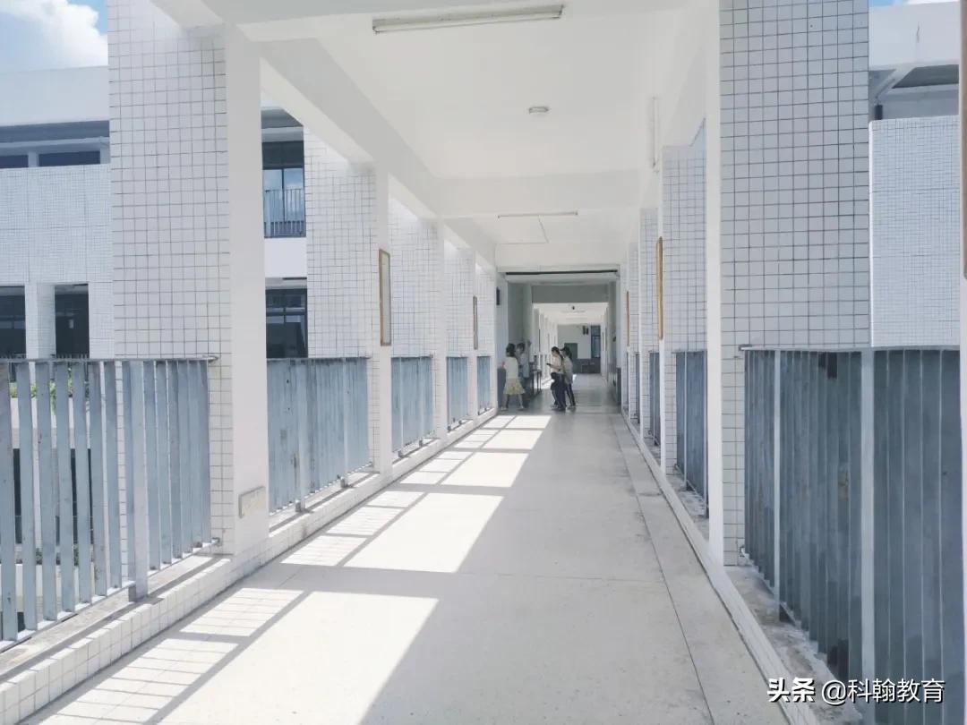 在深圳中学读书压力大吗,深圳宝安读书需要什么条件