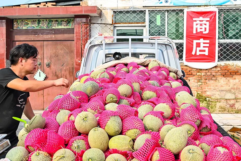 满满的烟火气逛大集真好玩,最值得逛的大集
