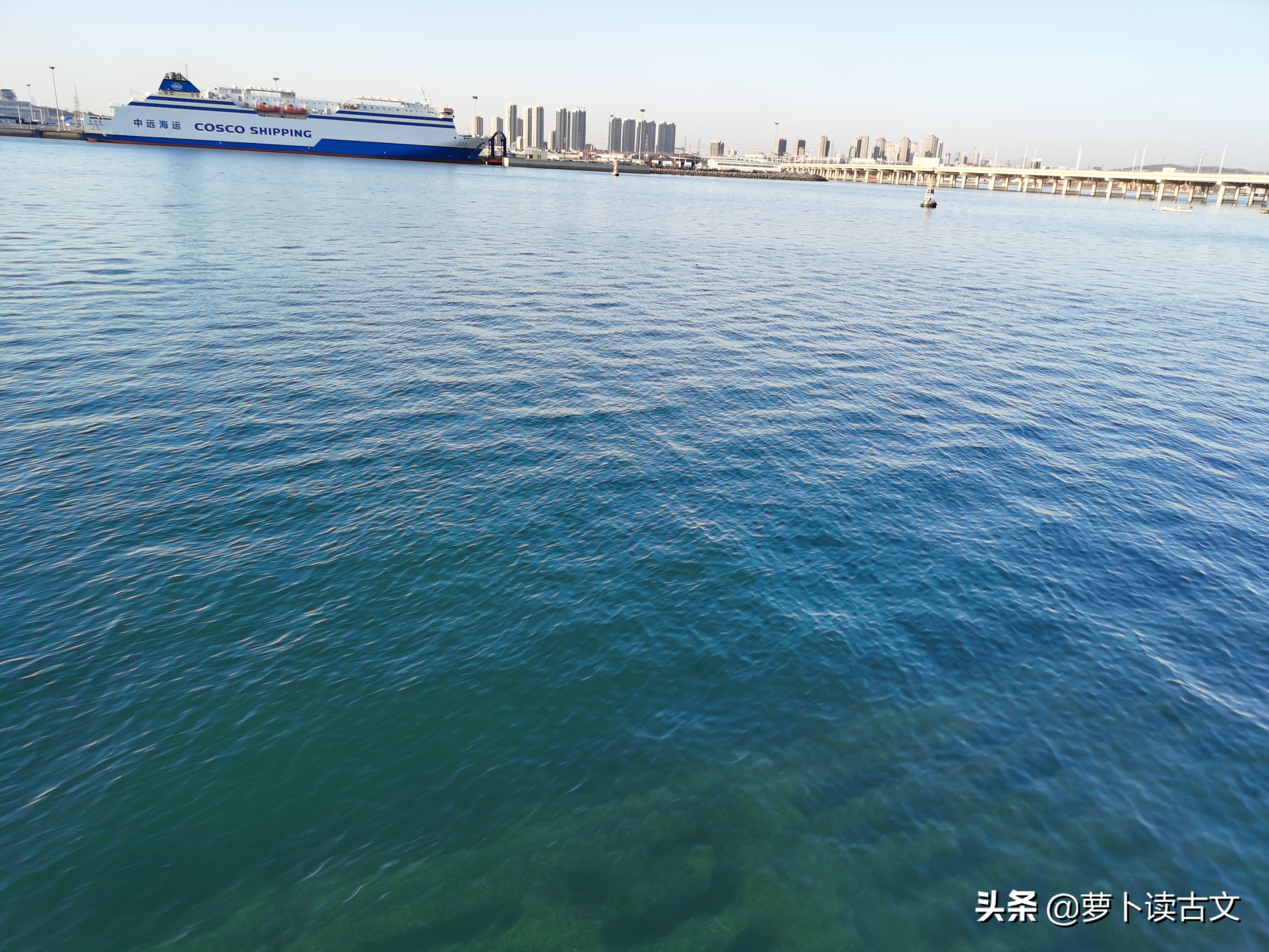 论语求仁而得仁,求仁而得仁又何怨论语