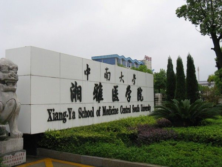 网友建议“吉林大学白求恩医学部重新独立出来”，强调改革必要性