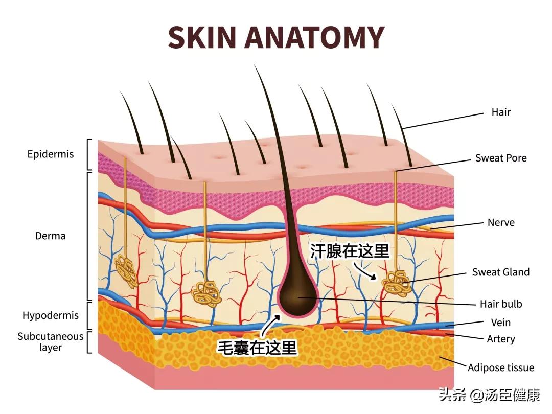 脱毛仪脱毛和激光脱毛哪个好,脱毛仪脱毛方案