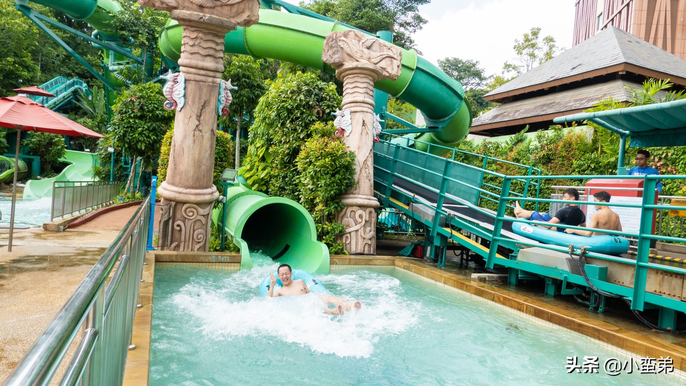 5年之许，小白逆袭重返新加坡