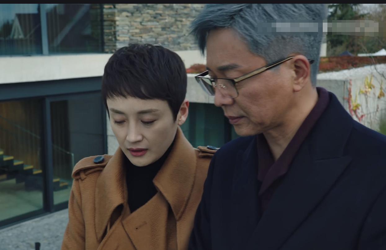 刘奕君猎狐王柏林剪辑,猎狐大结局王凯