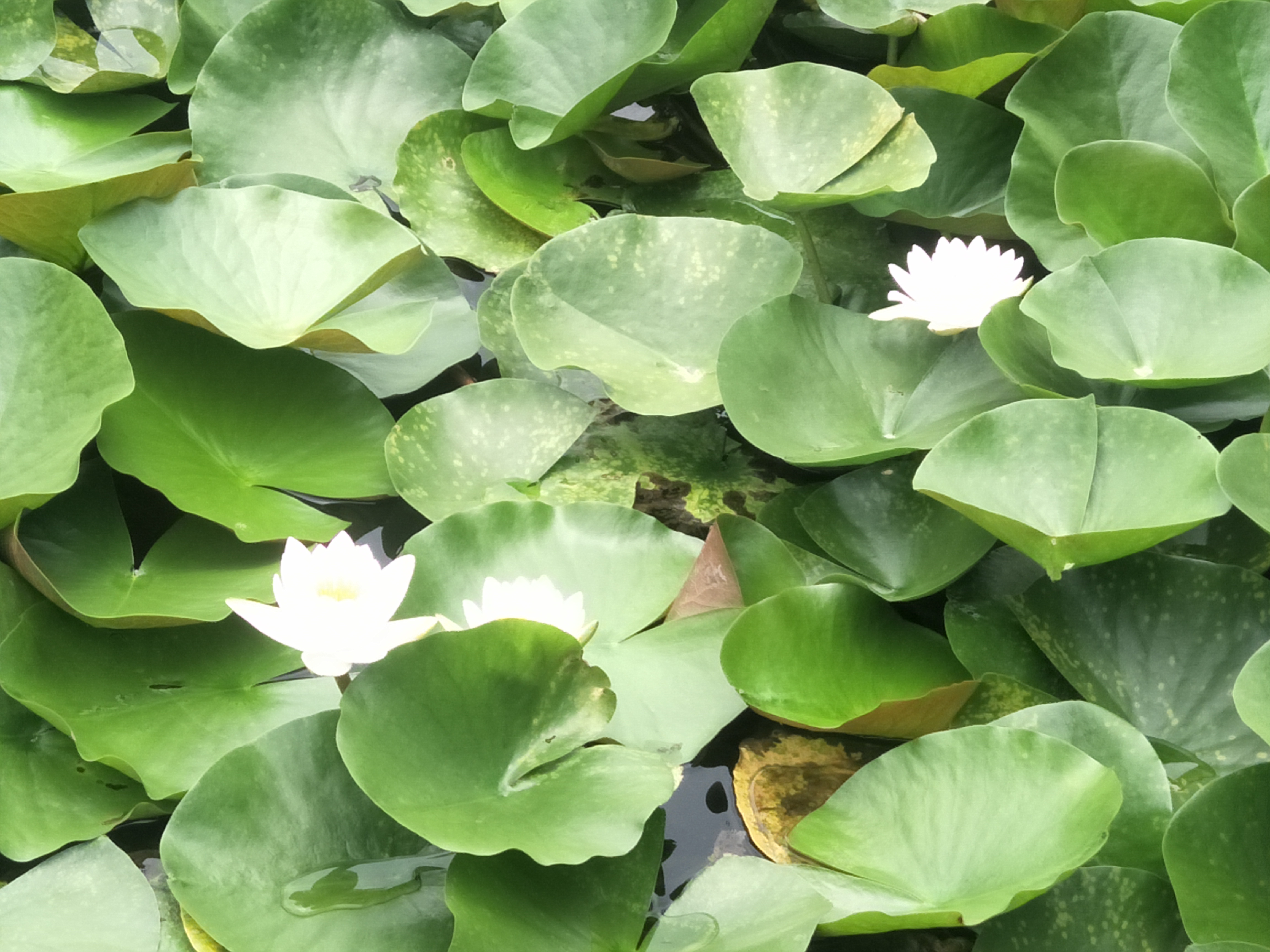 嵊州旅游攻略自由行,嵊州旅行攻略