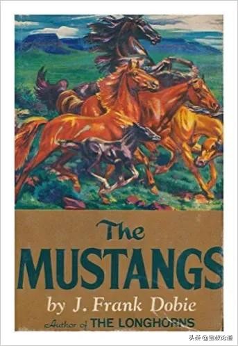 GDBOIL格德宝｜名车鉴赏｜福特野马FordMustang