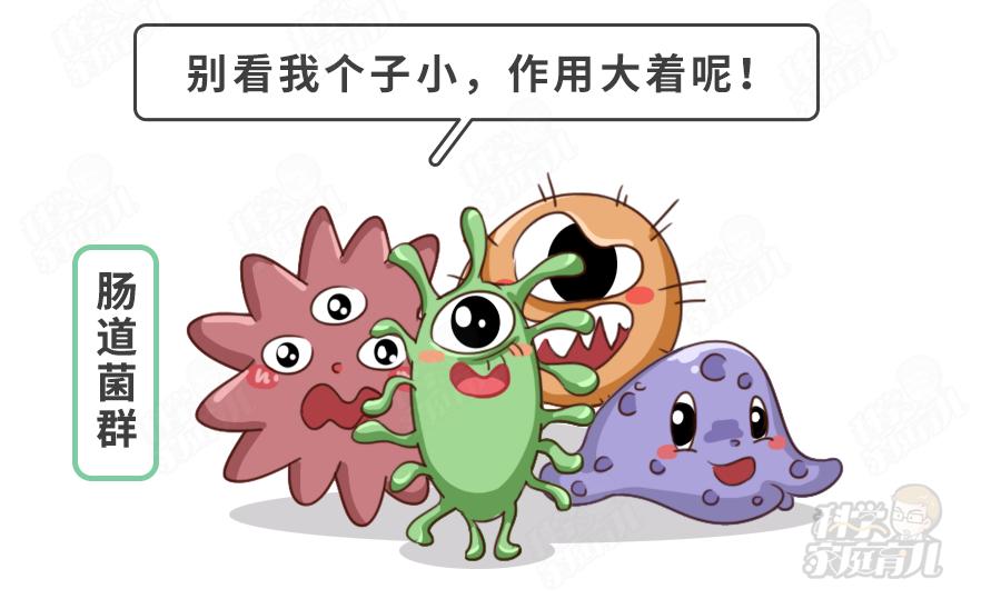 最好不要自行选购益生菌,益生菌别乱吃可诺贝儿羊奶粉