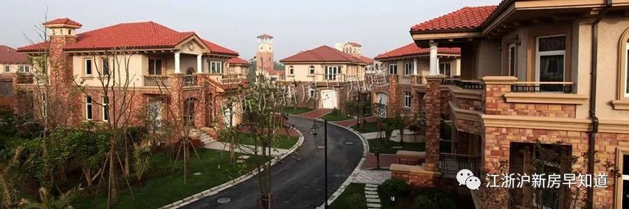 迪士尼别墅楼盘,上海浦东迪士尼花海自建房出售