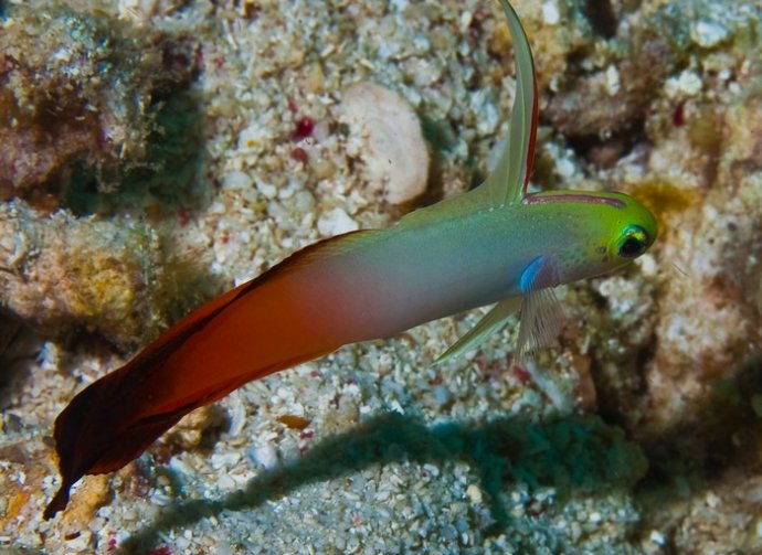 海底你不知道的东西,海底世界东海龙宫