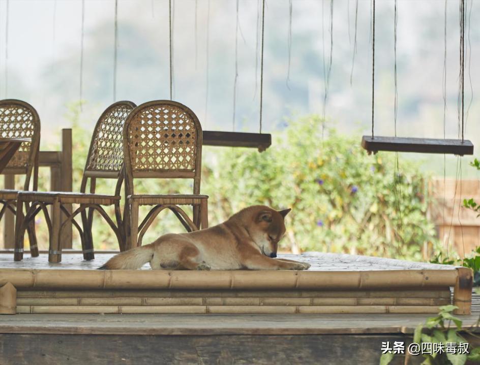 向前看向钱看全文,向前看向钱看完整视频