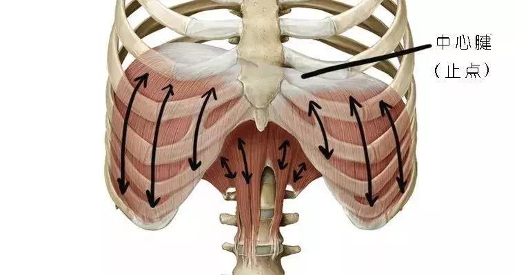 呼吸控制练习瑜伽,瑜伽练习时怎样吸气呼气