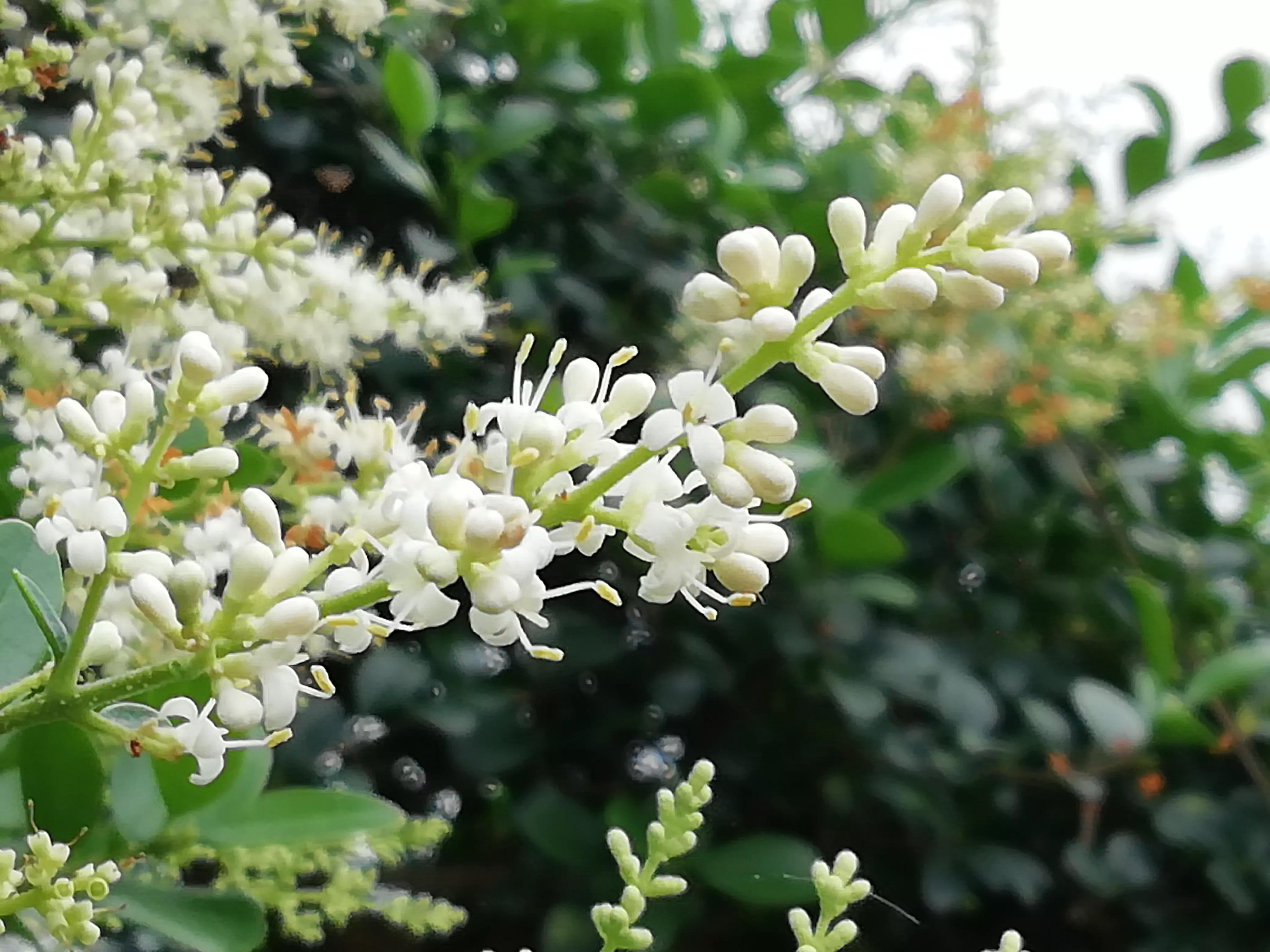 舞蹈怒放的生命,怒放的生命活出精彩