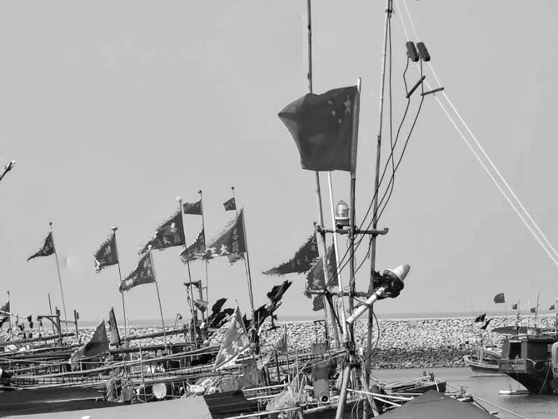 北方人第一次到海南是什么感受,北方人到海南的感受