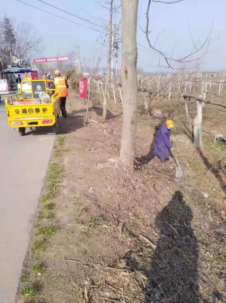 人居环境整治防控疫情,姑塘镇整治人居环境提升防疫能力